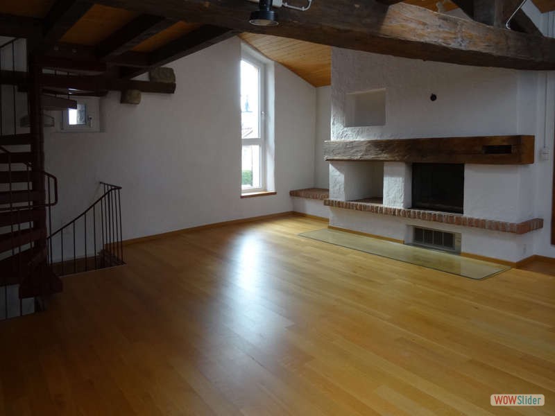 Salon 40 m2 avec mezanine, chemine avec rcuprateur