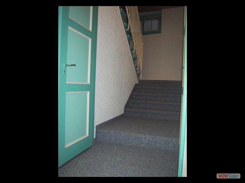 Escalier accs rez-sup et tage, moquette