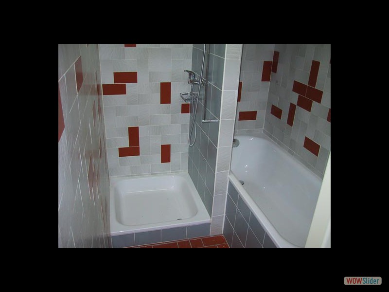 Salle d'eau (bain, douche, lavabo, WC)