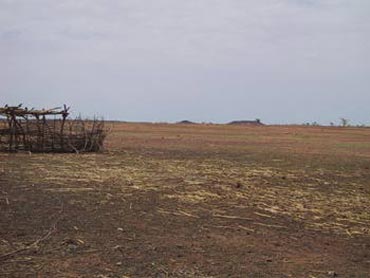 Gorguél, Arbinda, 2001