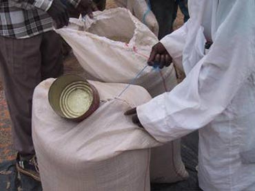 Gorguél, Arbinda, 2001