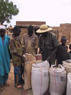 Gorguél, Arbinda, 2001