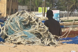 6 octobre 2013