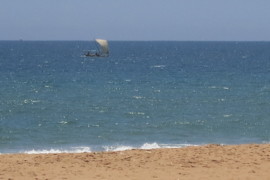 8 octobre 2013