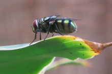 8 février 2014, Ouagadougou